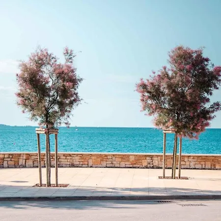 In Novigrad/istrien 9417 Appartement *